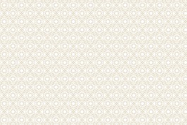 Suede Projects: Branding 