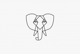 Suede Projects logo design
