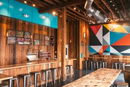 Suede Projects branding design