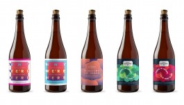 Suede Projects branding design