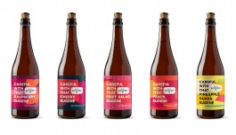 Suede Projects branding design