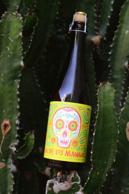 Suede Projects branding design