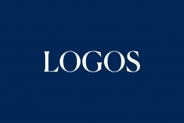 Suede Projects logo design 