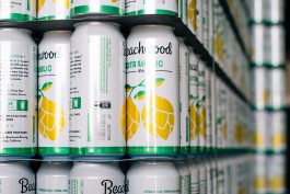 Suede Projects Beachwood Citraholic Bob Sattler